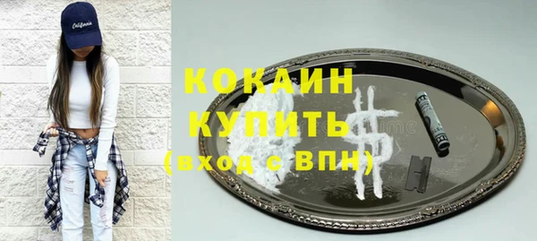 a pvp Новозыбков